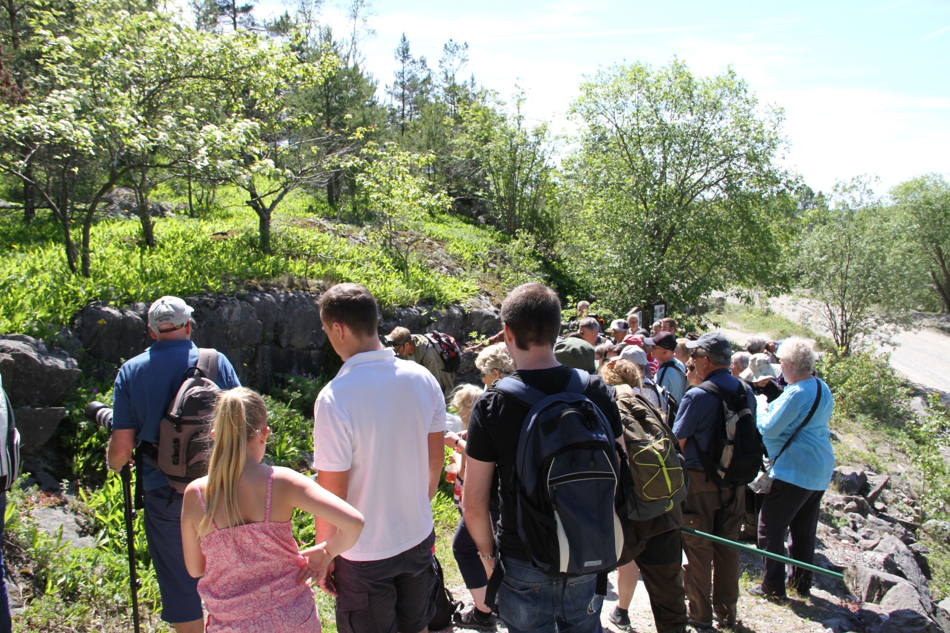 Fjärilarnas dag 13 juni 2026 kl.11.30-14