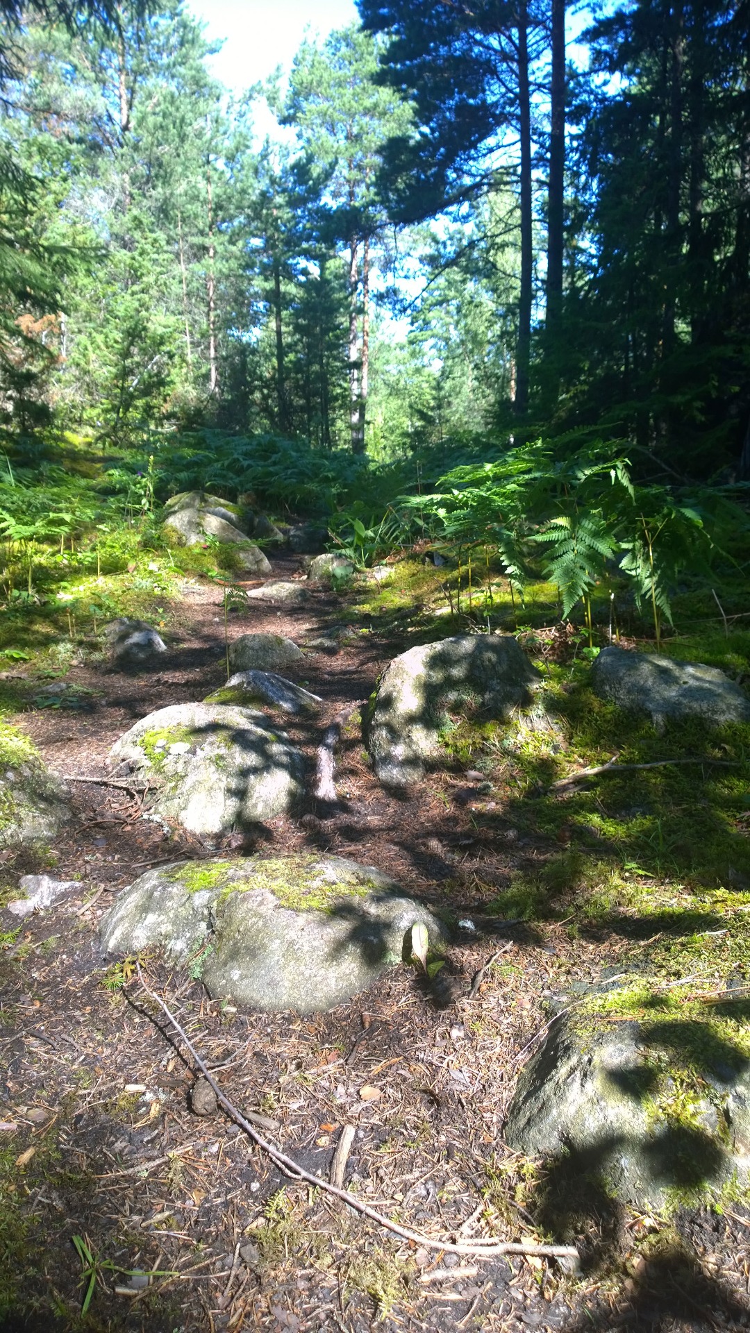 Slyröjning i Stora Vika kalkbrott 23 maj 2026 kl.11-14